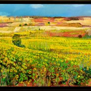 Girasoles en Nódalo (Soria)